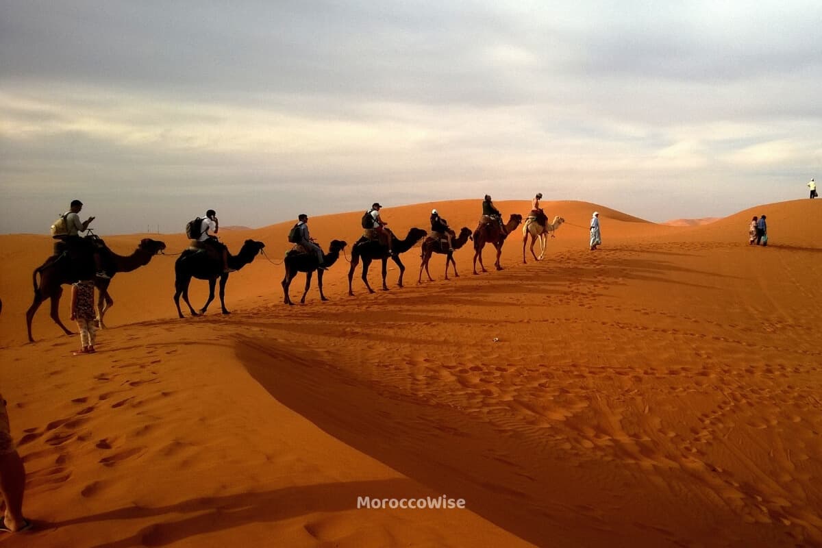 A camel caravan traveling across the Sahara at dusk