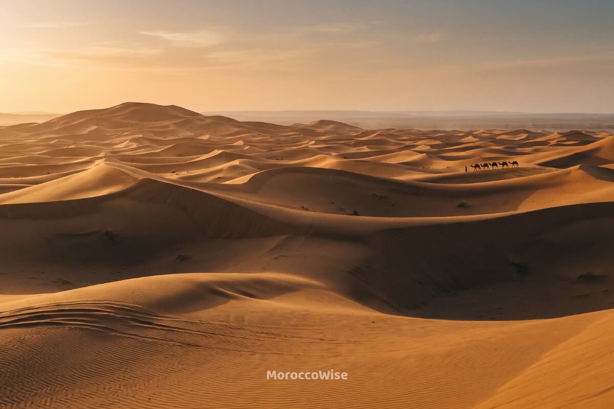 Merzouga sand dunes in the Sahara desert